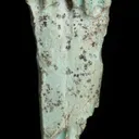 Turquoise after bone (odontolite) - image 7