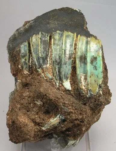 Turquoise image