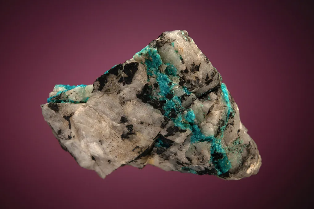 Turquoise - image 2