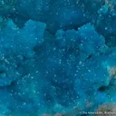 Turquoise - image 1