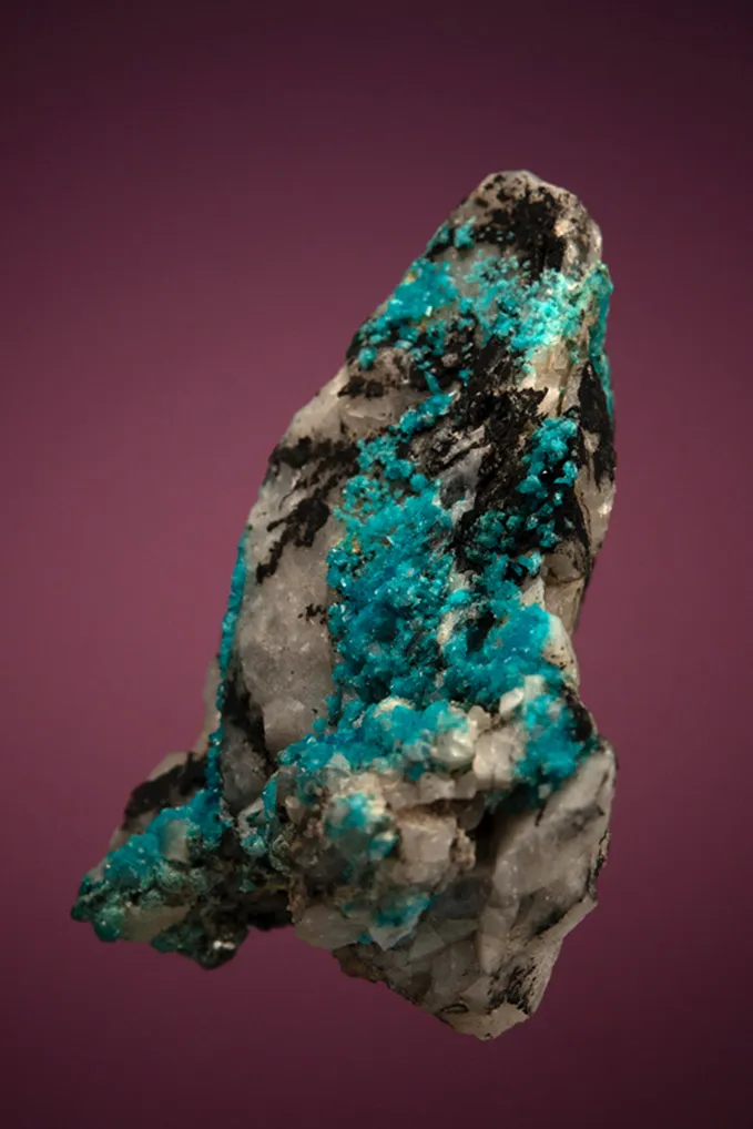 Turquoise - image 3