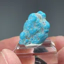 Turquoise from Mohave County, Arizona, USA - image 2
