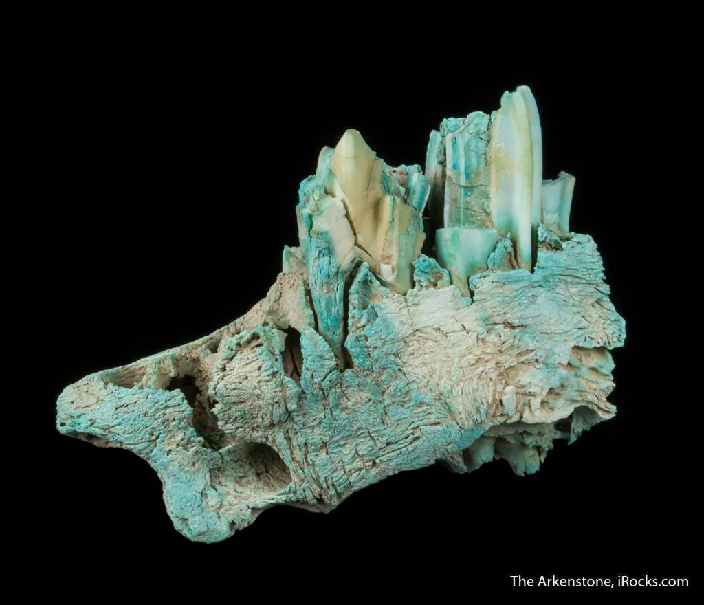 Turquoise ps. after Bone (Odontolite) image