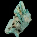 Turquoise ps. after Bone (Odontolite) - image 2