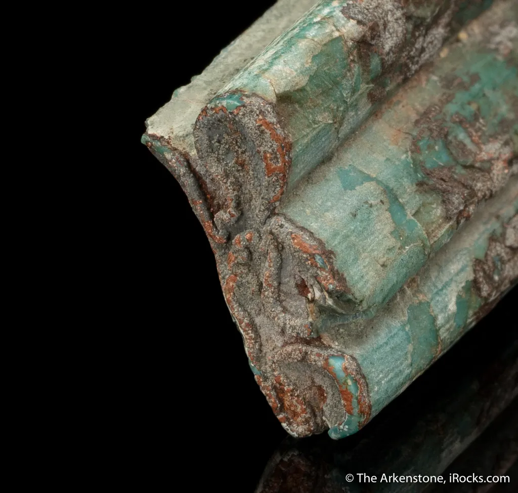Turquoise ps. after fossil rodent tooth - image 7