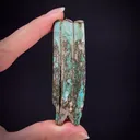Turquoise ps. after fossil rodent tooth - image 1