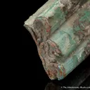 Turquoise ps. after fossil rodent tooth - image 4
