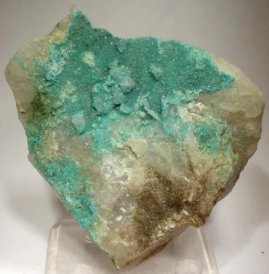Turquoise, Quartz image