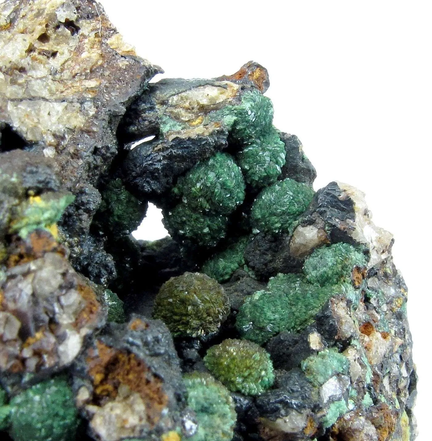 Turquoise Var. Rashleighite (Ex. Dr. Victor Goldschmidt) - image 1