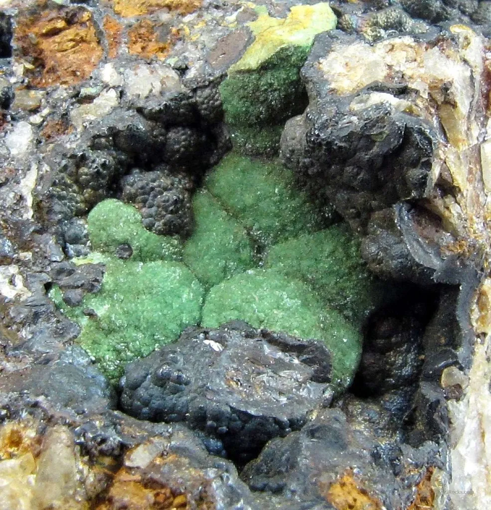 Turquoise Var. Rashleighite (Ex. Dr. Victor Goldschmidt) - image 4