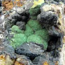 Turquoise Var. Rashleighite (Ex. Dr. Victor Goldschmidt) - image 4