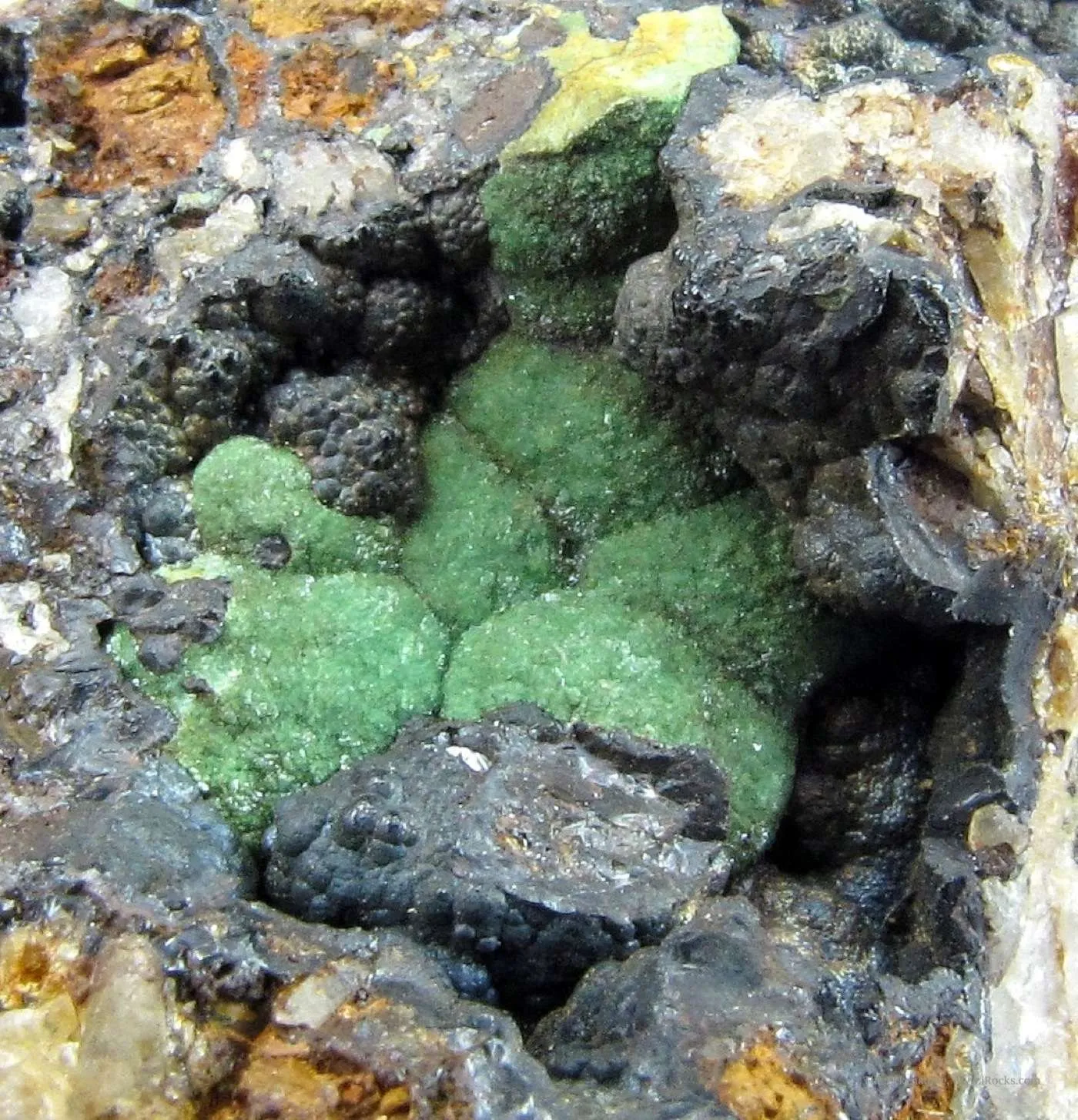 Turquoise Var. Rashleighite (Ex. Dr. Victor Goldschmidt) - image 4