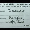 Tuscanite - image 6