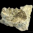 Tuscanite - image 2