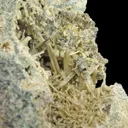 Tuscanite - image 3