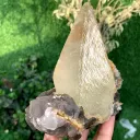 Twer Shape Dog Tooth Calcite with Fluorite Combined Specimen - image 3