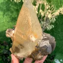Twer Shape Dog Tooth Calcite with Fluorite Combined Specimen - image 7