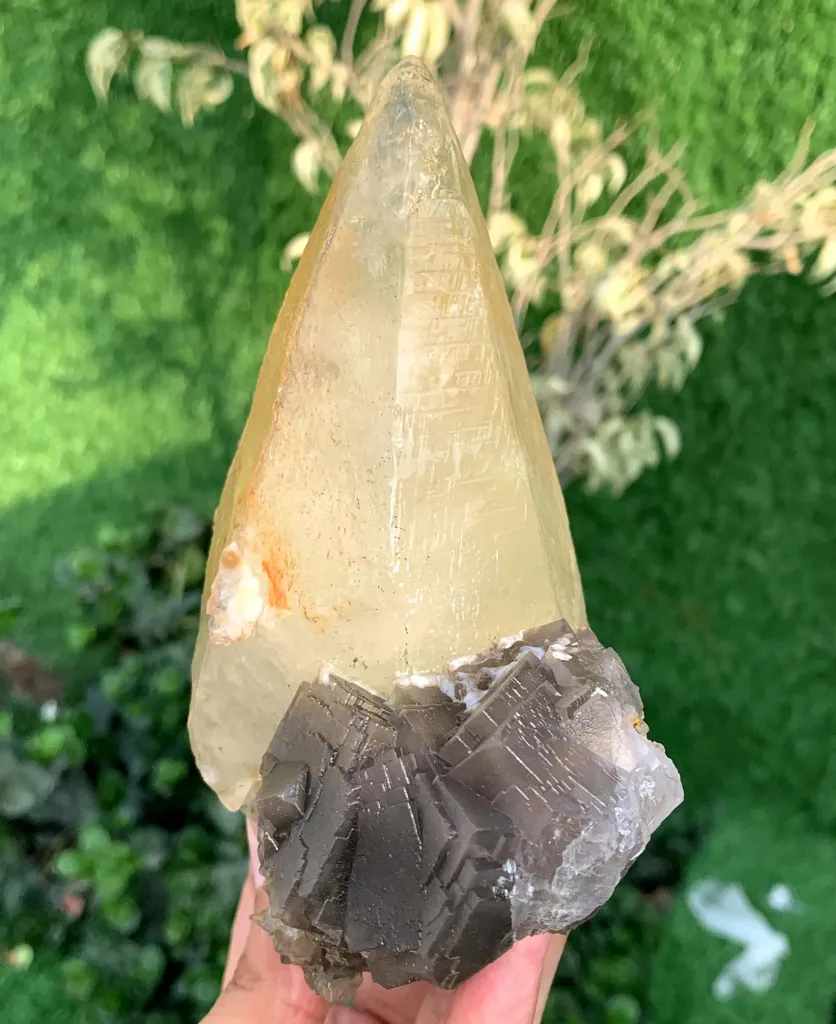 Twer Shape Dog Tooth Calcite with Fluorite Combined Specimen - image 5