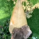 Twer Shape Dog Tooth Calcite with Fluorite Combined Specimen - image 5