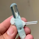 specimen video
