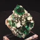 specimen video