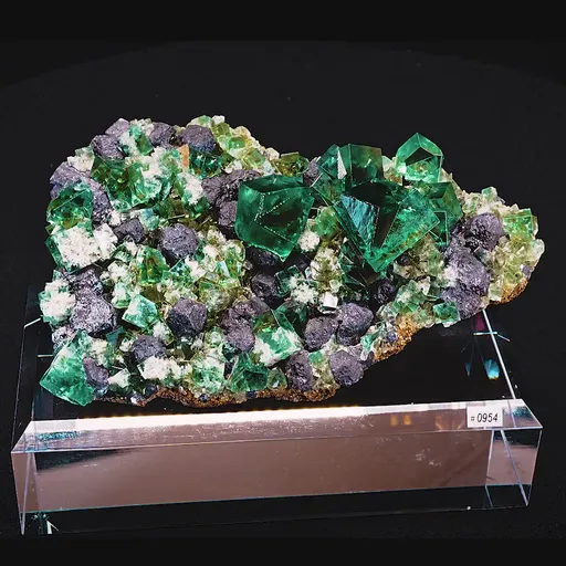 specimen video