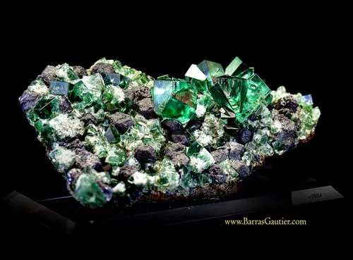 Twin Fluorite and Galena image