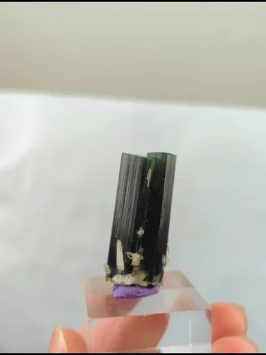 specimen video