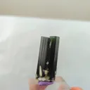 specimen video