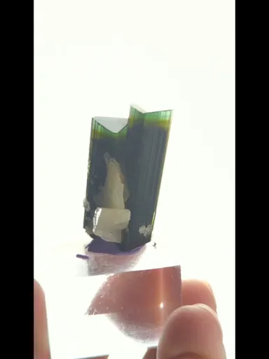 specimen video