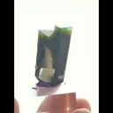 specimen video