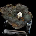 Twin of Cerussite on Fluorite - image 6