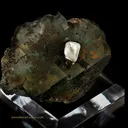 Twin of Cerussite on Fluorite - image 3