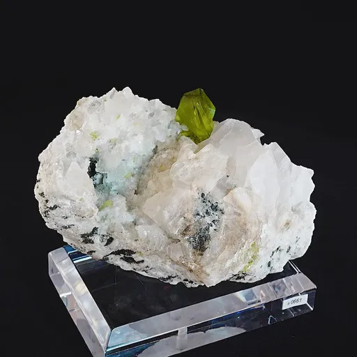 specimen video