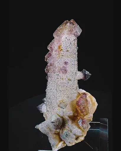 specimen video