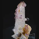 specimen video