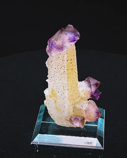 specimen video