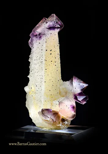 Twinned Amethyst Quartz and Scepter - image 3