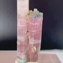 specimen video