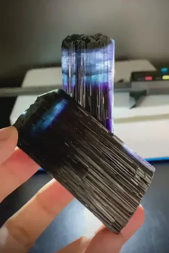 specimen video