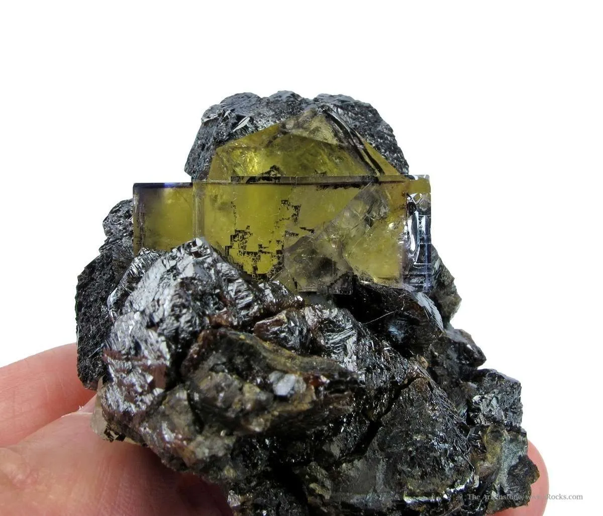Twinned Fluorite and Sphalerite With Hydrocarbon Inclusions - image 4