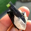Twinned Green Cap Tourmaline Crystals on Quartz from Pakistan - image 3