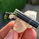 Twinned Green Cap Tourmaline Crystals on Quartz from Pakistan - image 5