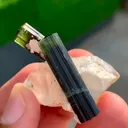 specimen video