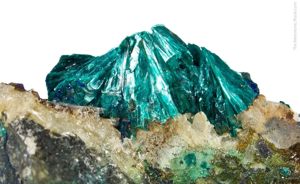 Tyrolite with Chalcophyllite and Azurite image