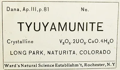 Tyuyamunite - image 2
