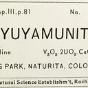 Tyuyamunite - image 2