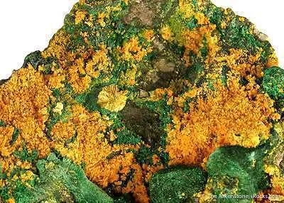 Tyuyamunite and Malachite - image 2