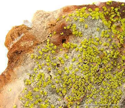 Tyuyamunite With Baryte - image 2
