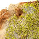 Tyuyamunite With Baryte - image 2